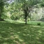 Balneario Las Caldas Besaya, vista del parque
