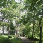Balneario Las Caldas de Besaya, parque